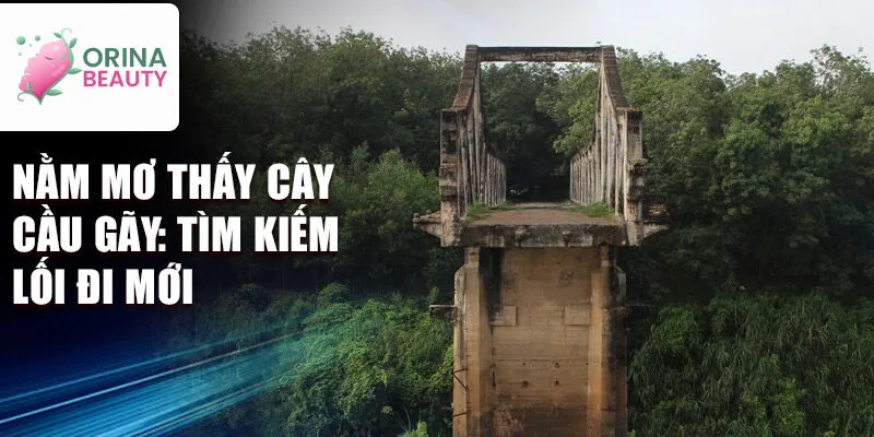 Nằm mơ thấy cây cầu gãy: tìm kiếm lối đi mới