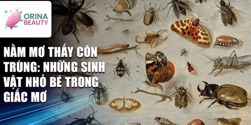 Nằm mơ thấy côn trùng: những sinh vật nhỏ bé trong giấc mơ