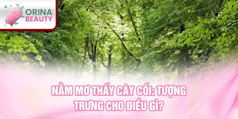 Nằm mơ thấy cây cối: tượng trưng cho điều gì?