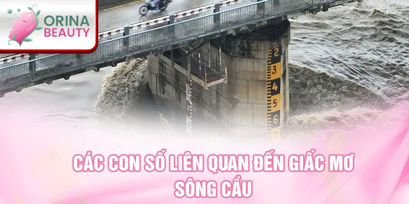 Các con số liên quan đến giấc mơ sông cầu