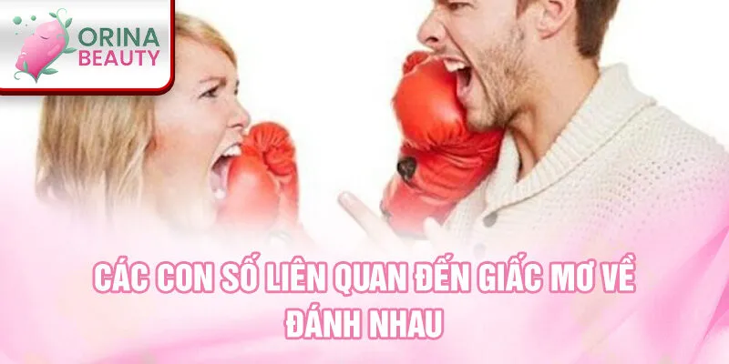 Các con số liên quan đến giấc mơ về đánh nhau