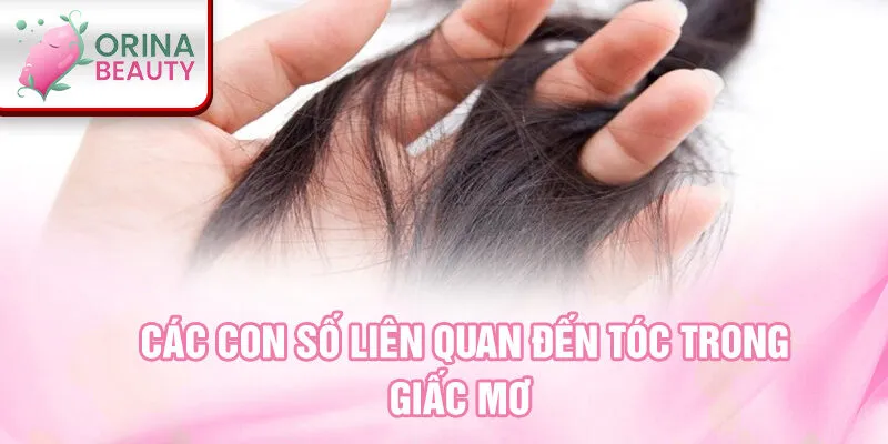 Các con số liên quan đến tóc trong giấc mơ