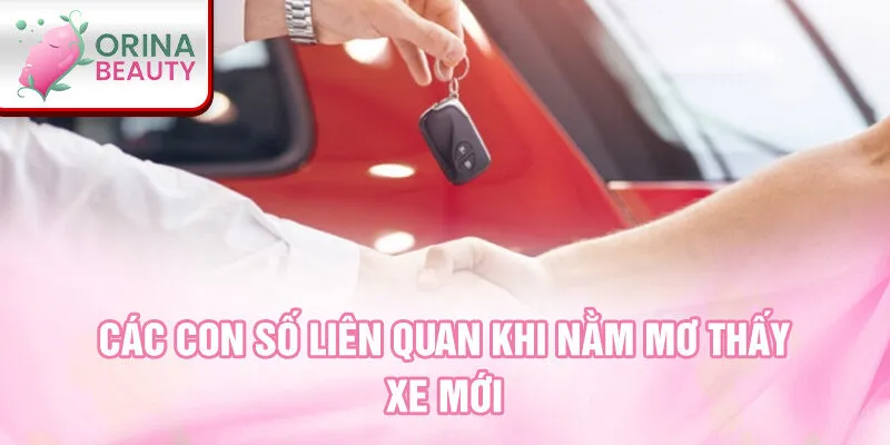 Các con số liên quan khi nằm mơ thấy xe mới