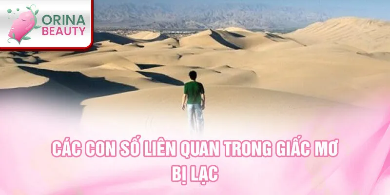 Các con số liên quan trong giấc mơ bị lạc