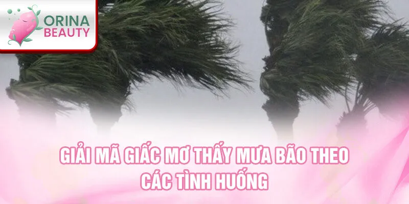 Giải mã giấc mơ thấy mưa bão theo các tình huống