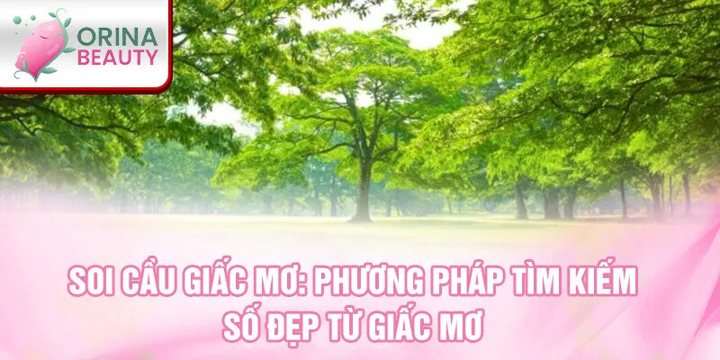 Soi cầu giấc mơ: phương pháp tìm kiếm số đẹp từ giấc mơ