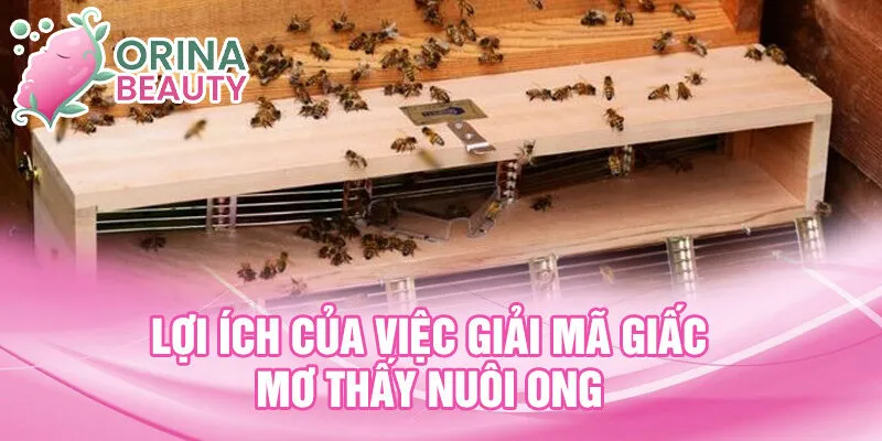 Lợi ích của việc giải mã giấc mơ thấy nuôi ong