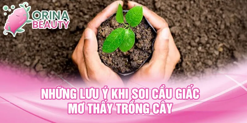 Những lưu ý khi soi cầu giấc mơ thấy trồng cây