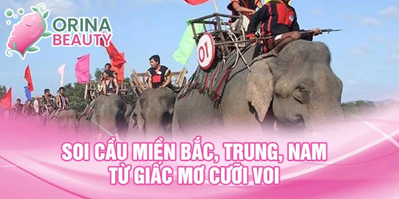 Soi cầu miền Bắc, Trung, Nam từ giấc mơ cưỡi voi