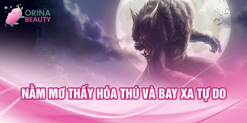 Nằm mơ thấy hóa thú và bay xa tự do
