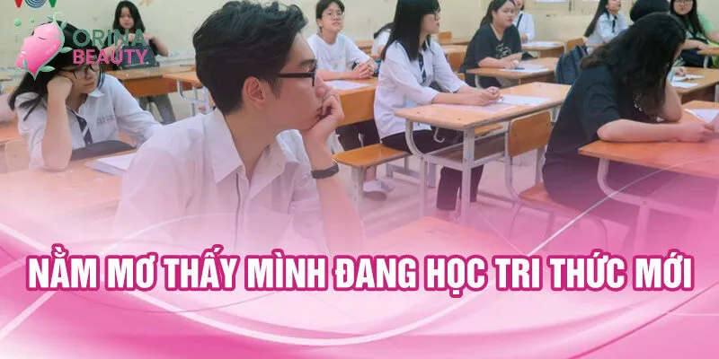 Nằm mơ thấy mình đang học tri thức mới