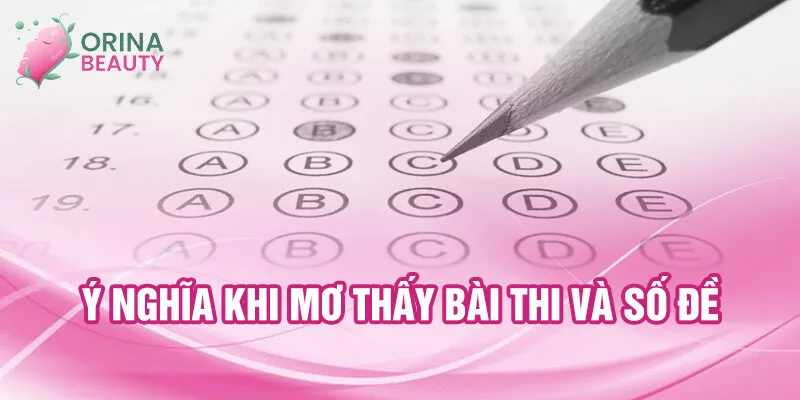 Nằm Mơ Thấy Bài Thi: Giải Mã Và Điềm Báo May Mắn 2 Ý nghĩa khi mơ thấy bài thi và số đề
